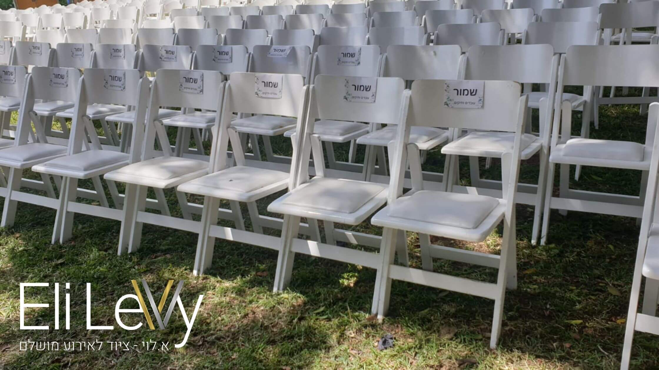 השכרת כסאות עץ מתקפלים בצבע לבן